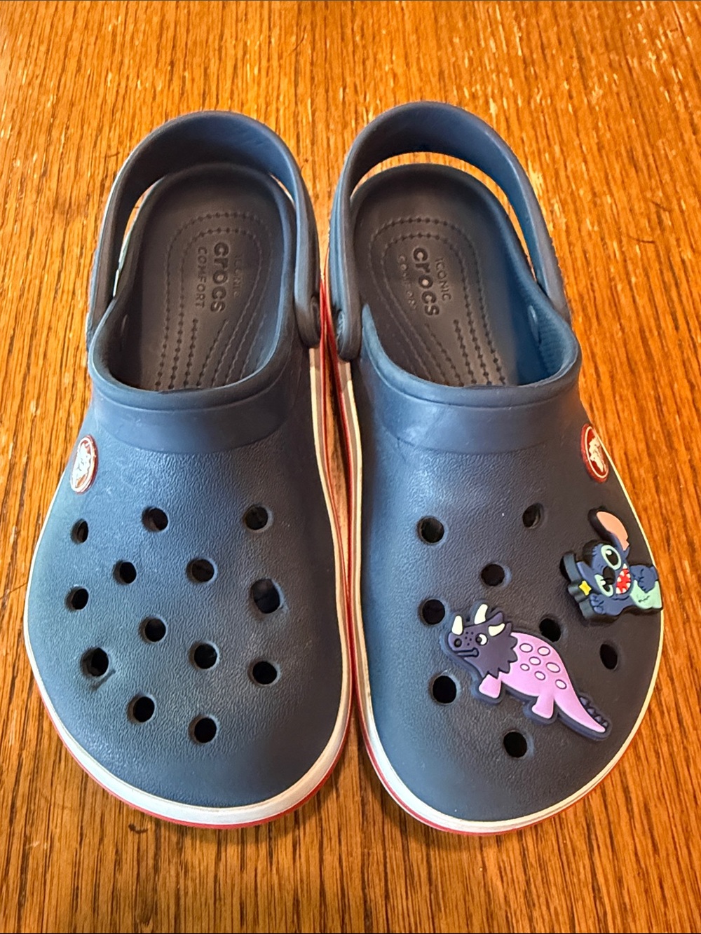 CROCS Kids Navy Blue Slip-On Clogs with Dino Jibbitz